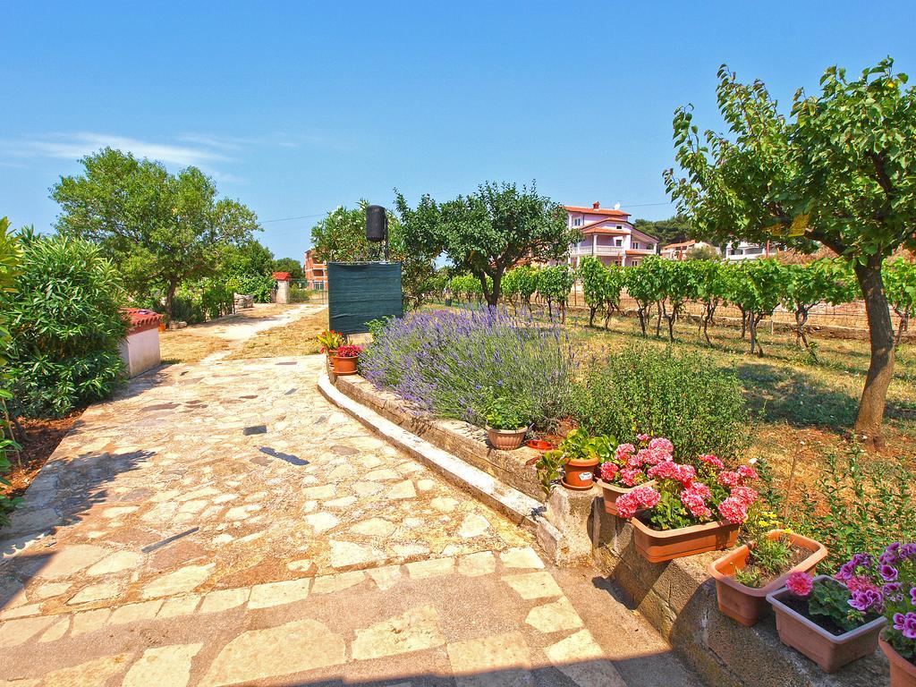 Apartment Vrcevan 895 Medolino Esterno foto